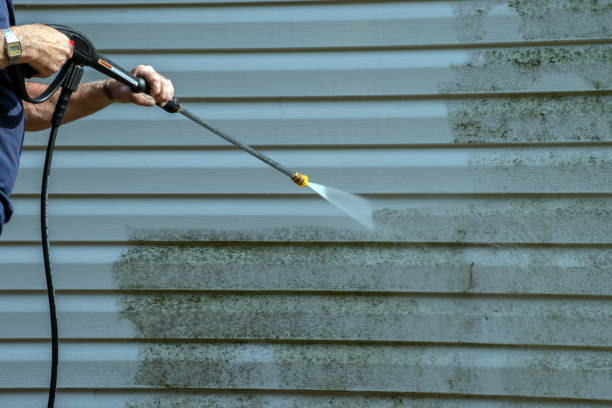 Best Gutter Cleaning and Brightening in Lexington, TX